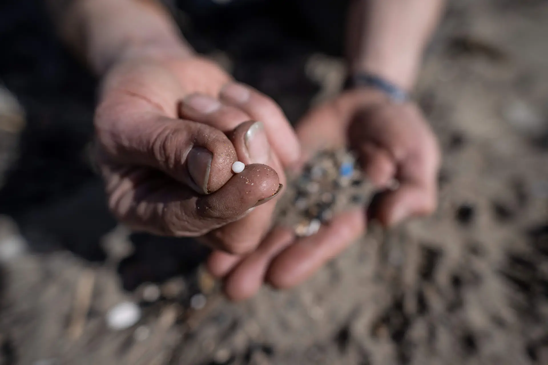 Pellets: ativistas pedem regras para microplásticos do tamanho de “lentilhas” que são autênticas “pastilhas envenenadas”