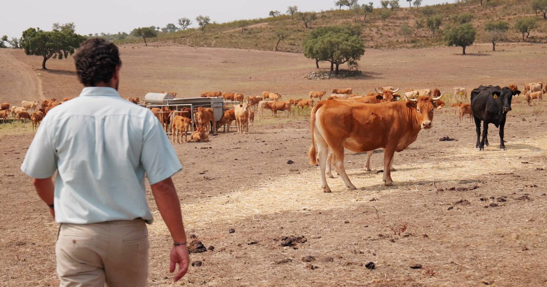 25 mil voltas à Terra para acelerar a transição ambiental - Expresso