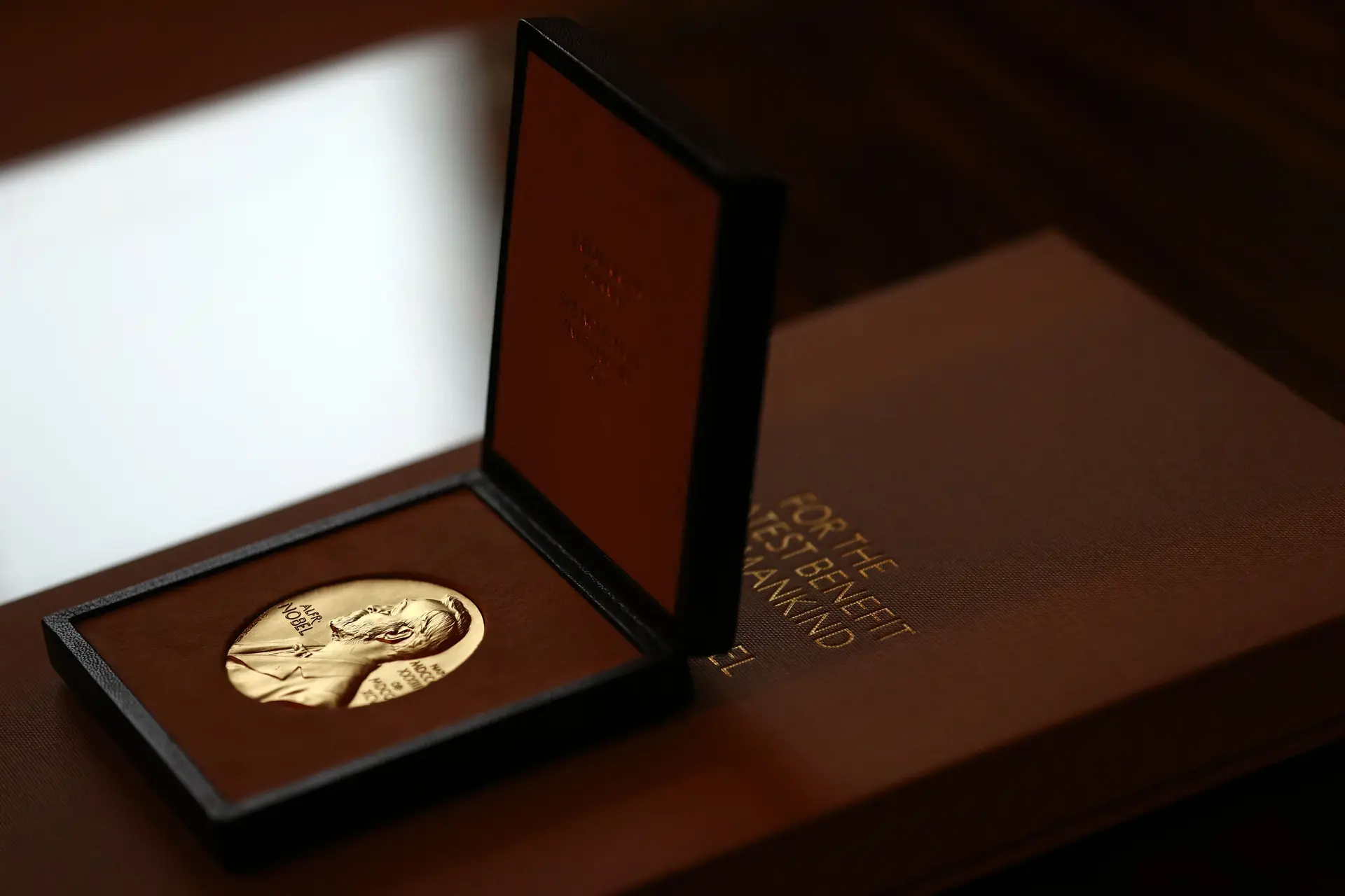 Os laureados recebem uma medalha, um diploma personalizado e um prémio monetário