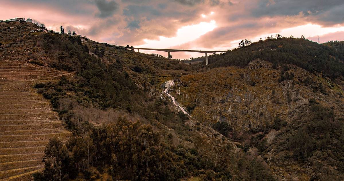 Descubra a paisagem natural e o património histórico, entre o Vale do Douro e o Planalto Beirão.