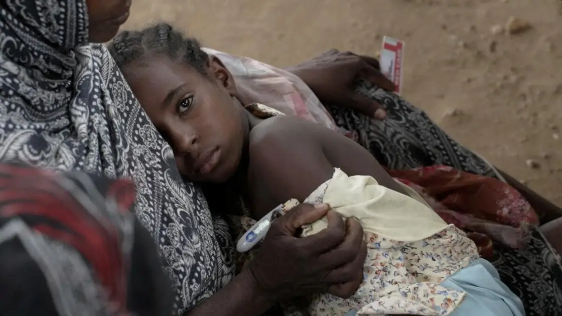 Programa Alimentar Mundial alerta para "crise de fome" a aproximar-se do Sudão do Sul