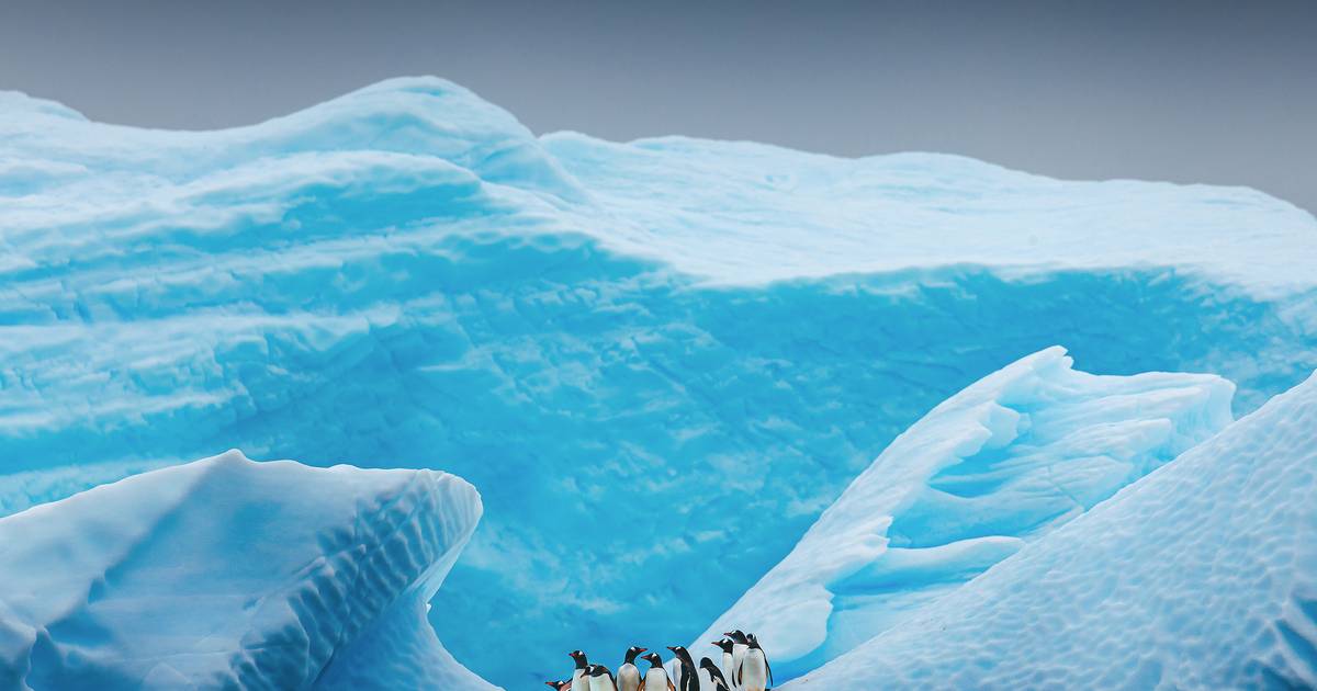 Esta é a aventura de quem ousou atravessar a Antártida a pé pelo Polo Sul