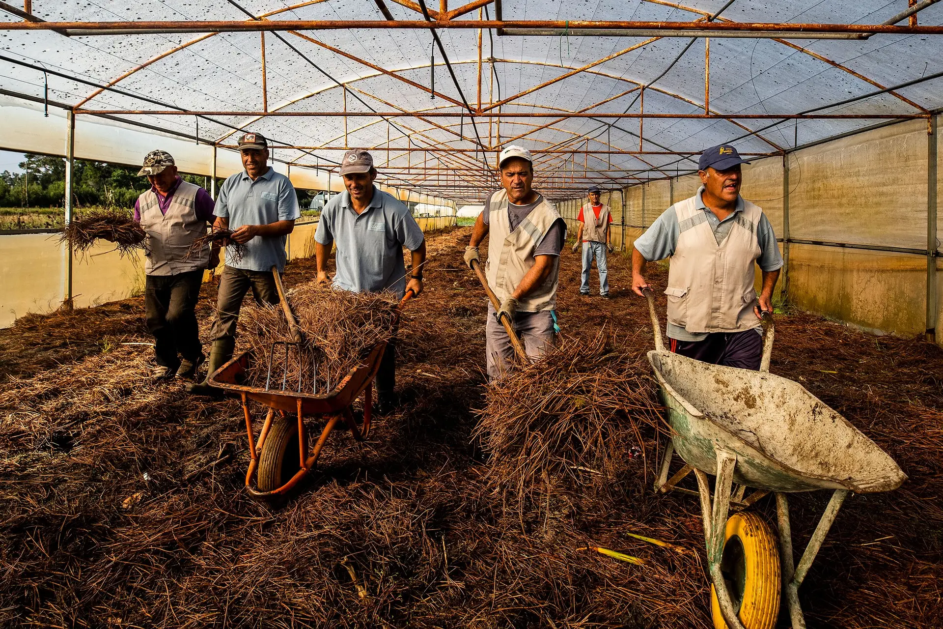No Centro de Ação Social do Concelho de Ílhavo as atividades agrícolas são uma das bases de apoio aos utentes com deficiência