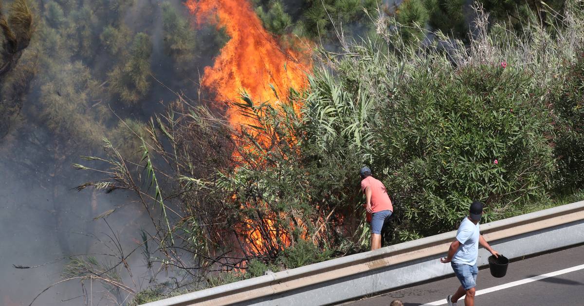 Portugal registou 10.583 fogos florestais que queimaram mais de 110 mil ha em 2022
