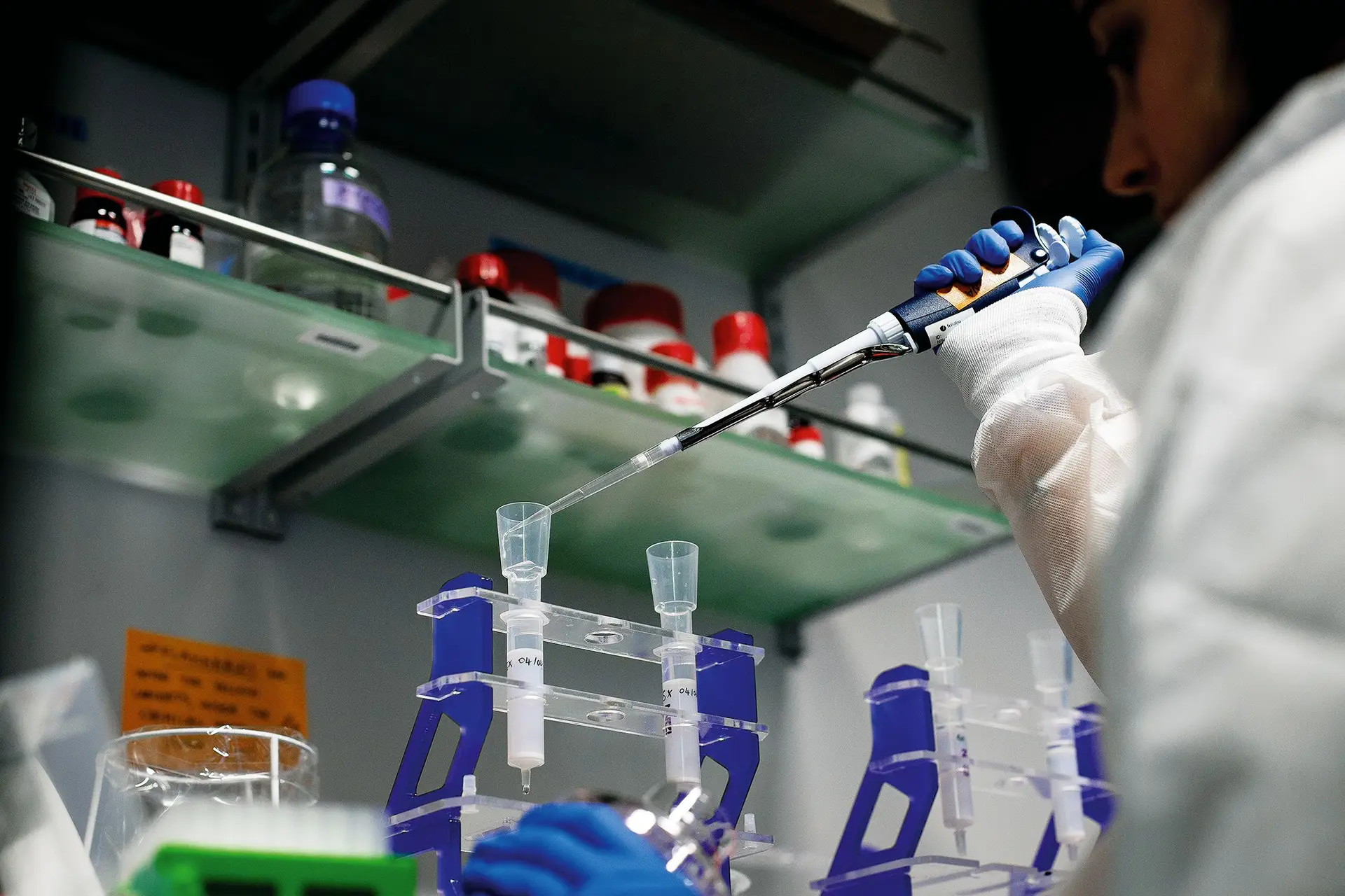 Desde 2021 que a Fundação para a Ciência e Tecnologia não abre nenhum concurso para financiamento de projetos de investigação