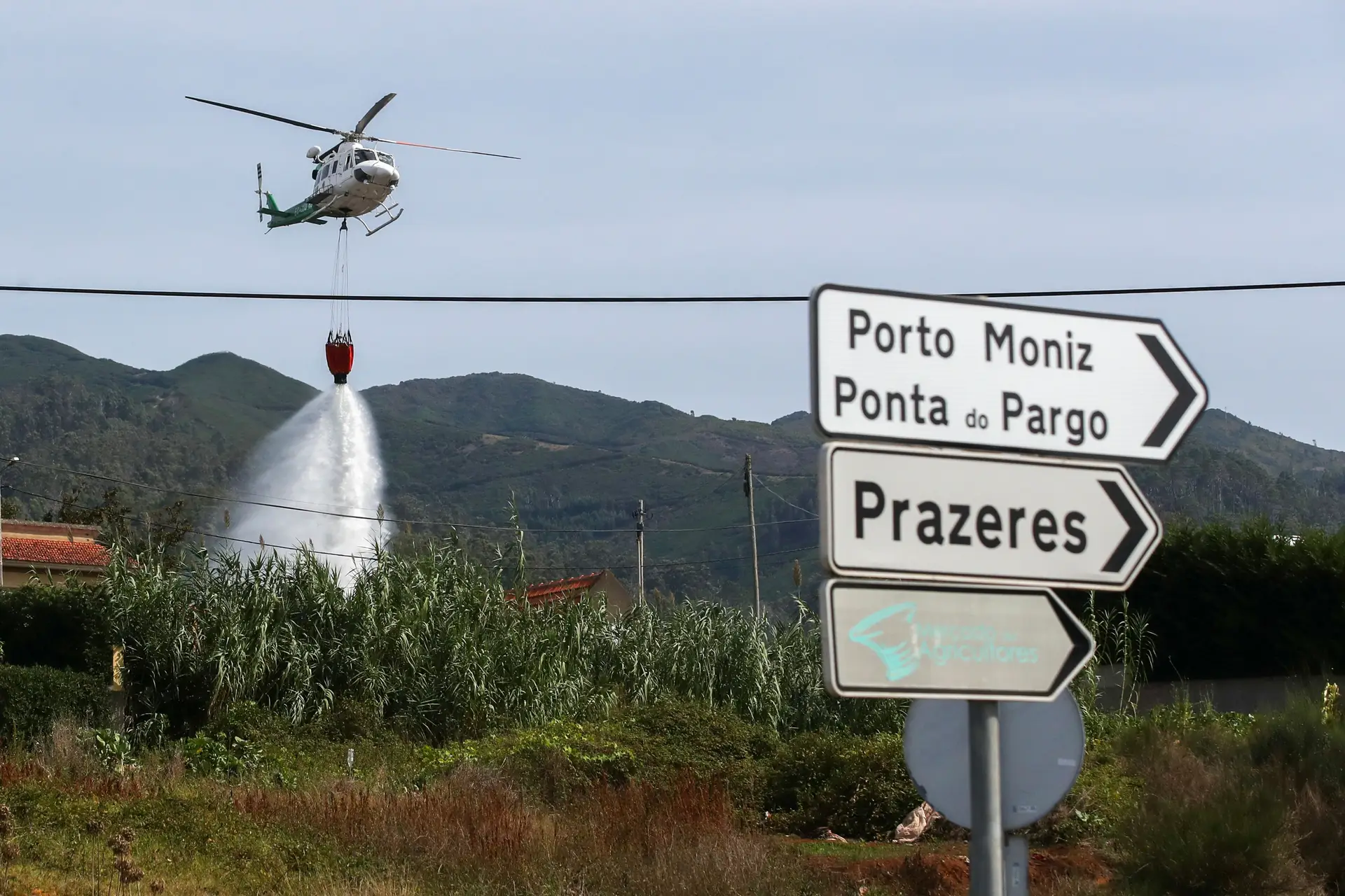 Incêndios na Madeira: 70 pessoas receberam assistência médica desde quarta-feira devido aos fogos