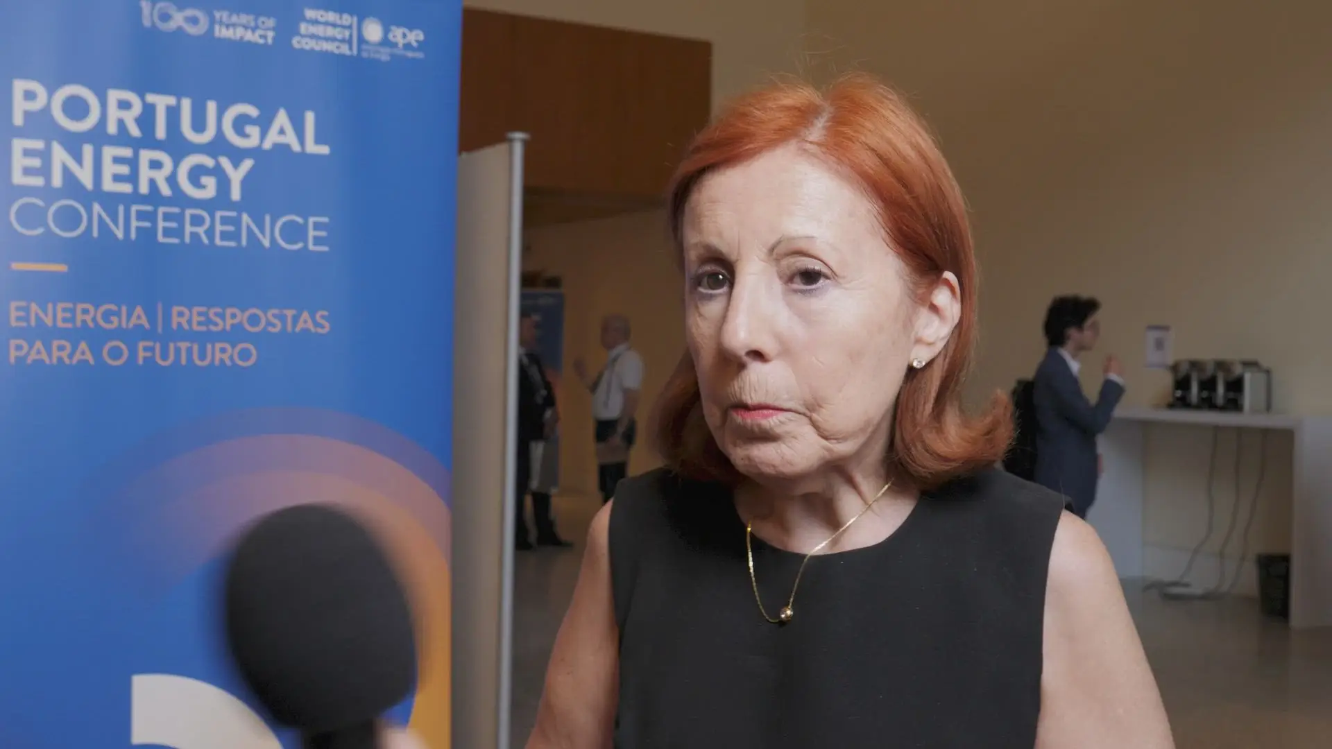 Maria da Graça Carvalho, ministra do Ambiente e Energia
