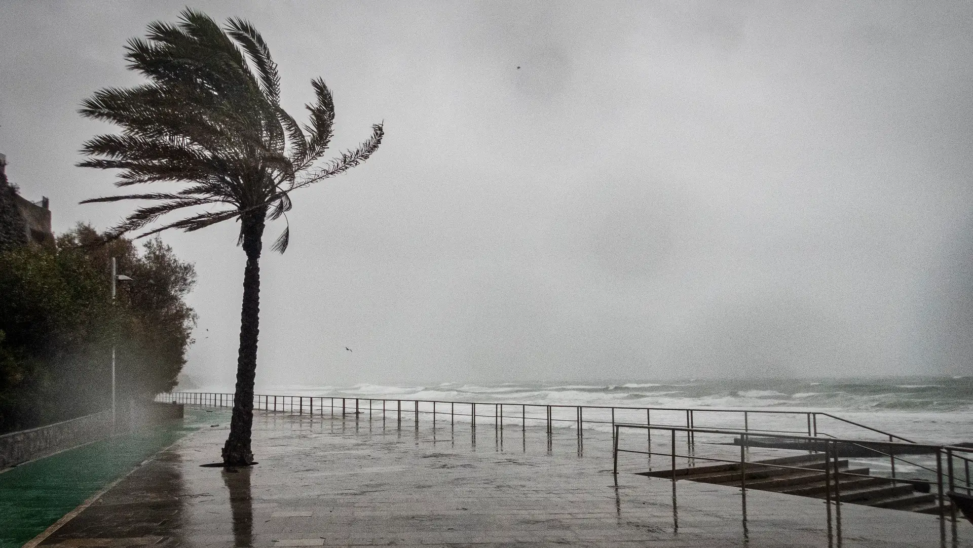 IPMA confirma fenómeno meteorológico que "parece ter sido um tornado" na região sul de Lisboa