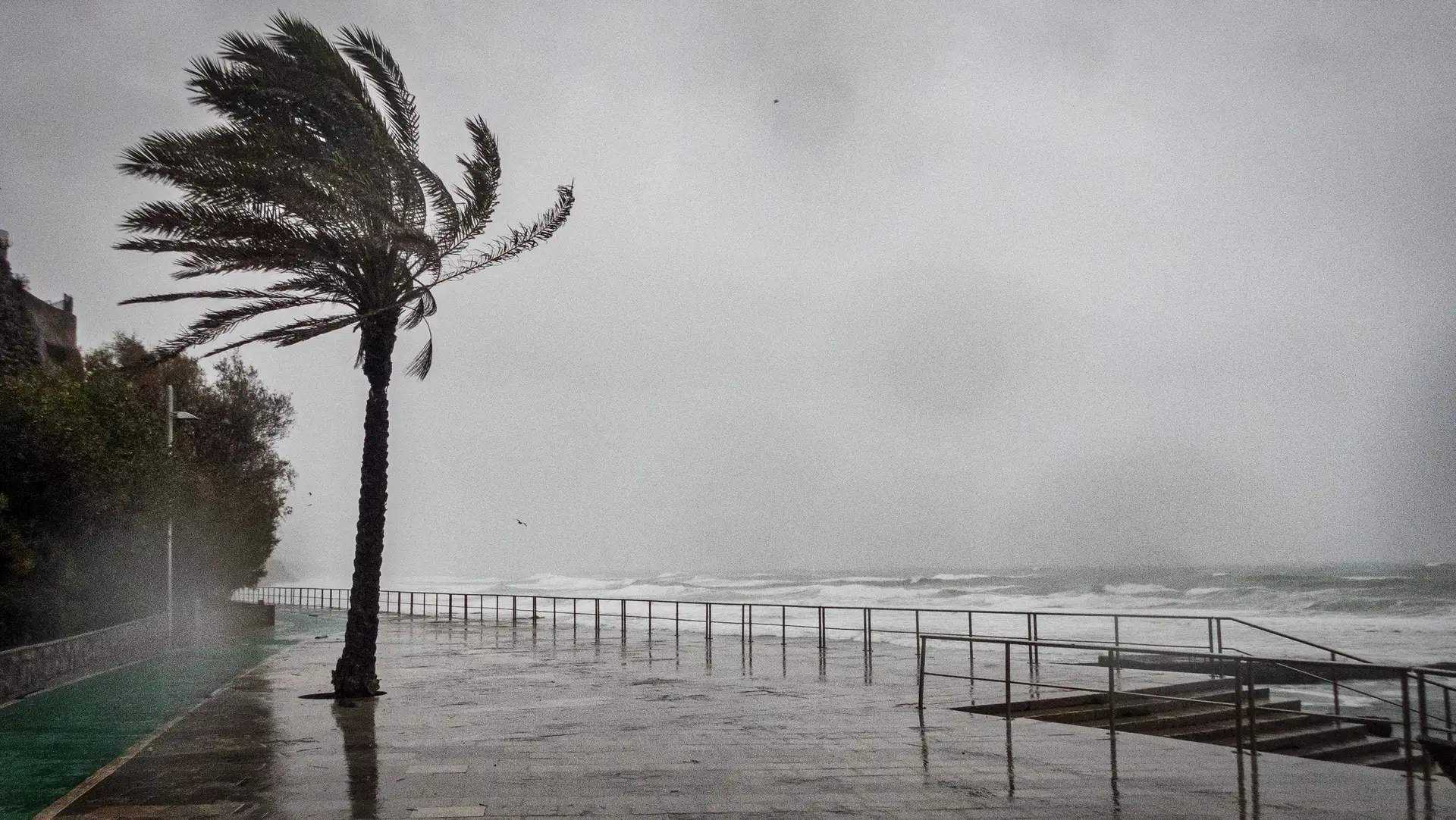 Vento, chuva e agitação marítima: os efeitos da depressão Ciarán em 10 perguntas e respostas