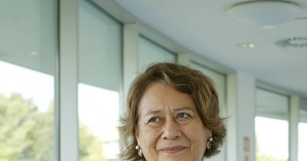 Nova diretora admite reorganização do Instituto Ibérico de Nanotecnologias. Renovação de equipamentos custa 