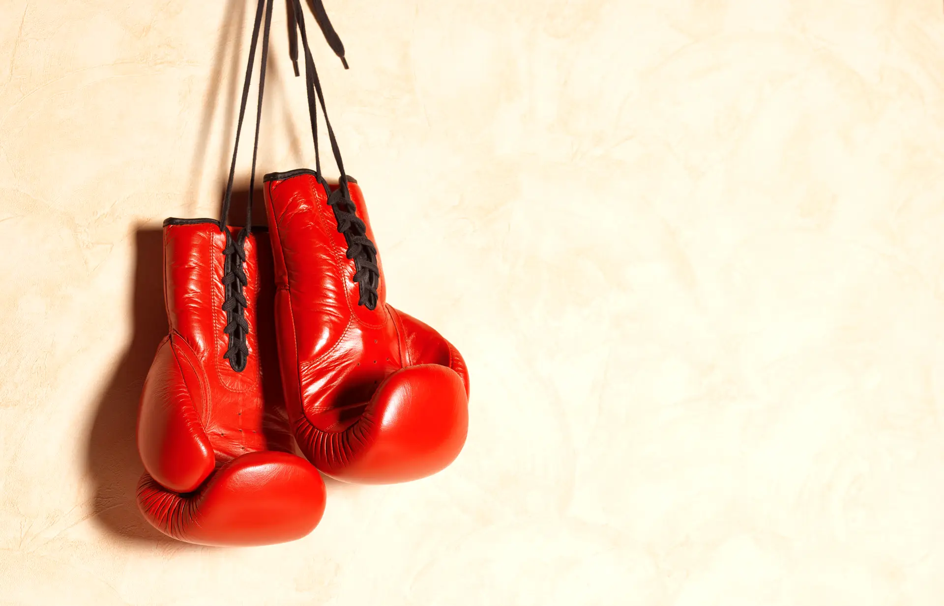 Saco de boxe 'made in' Portugal angaria €10 milhões para expandir negócio