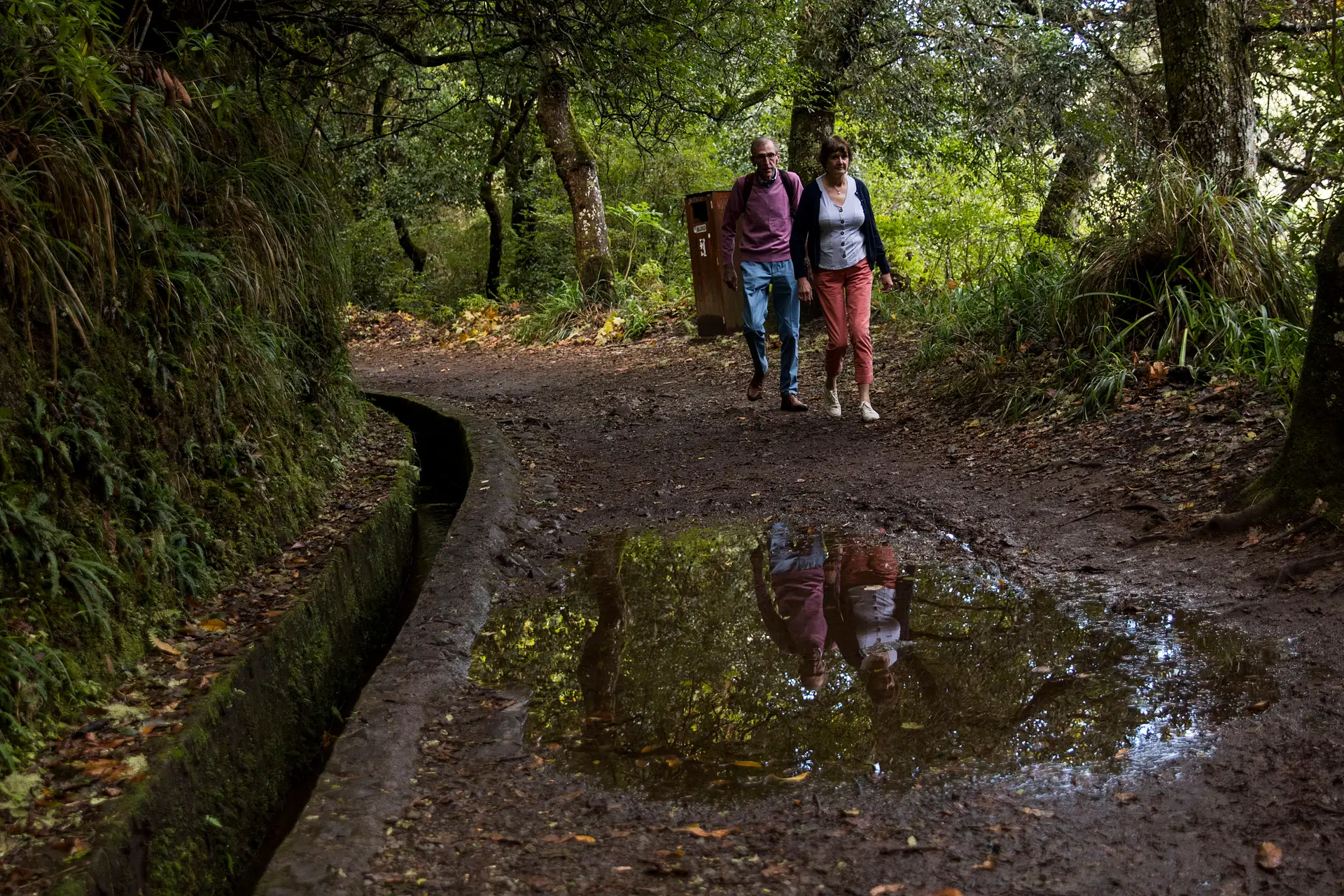 Levadas: As veias aquáticas da Madeira esperam o veredicto da UNESCO