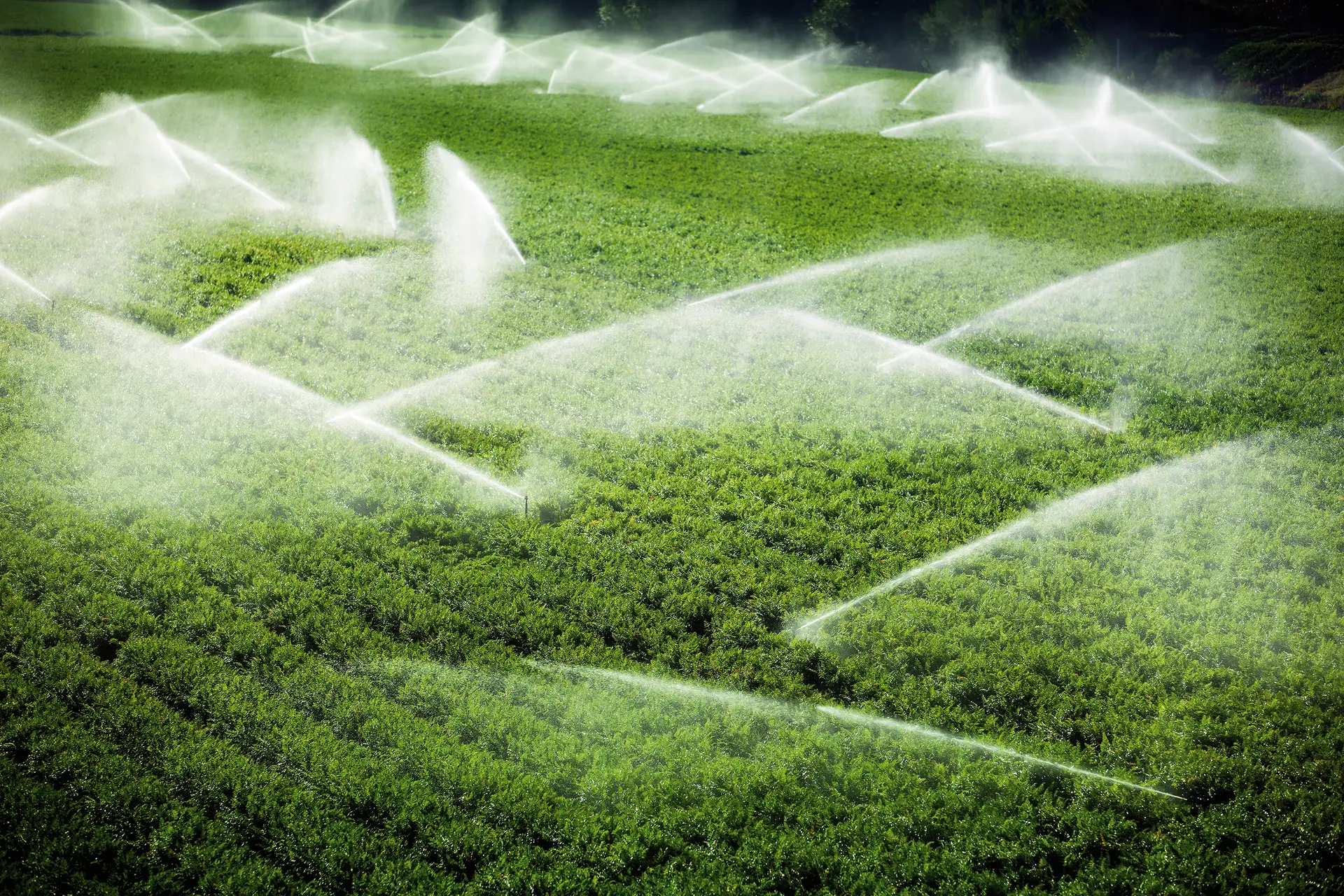 65% dos agricultores já utilizam sistemas de rega localizada, mas só uma minoria adotou tecnologias mais avançadas para controlo de rega e gestão da água
