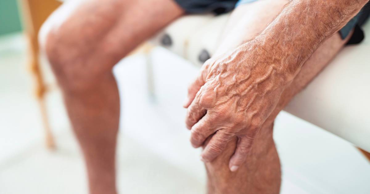 Perda de função muscular com a idade: investigadores portugueses descobrem processo associado ao envelhecimento