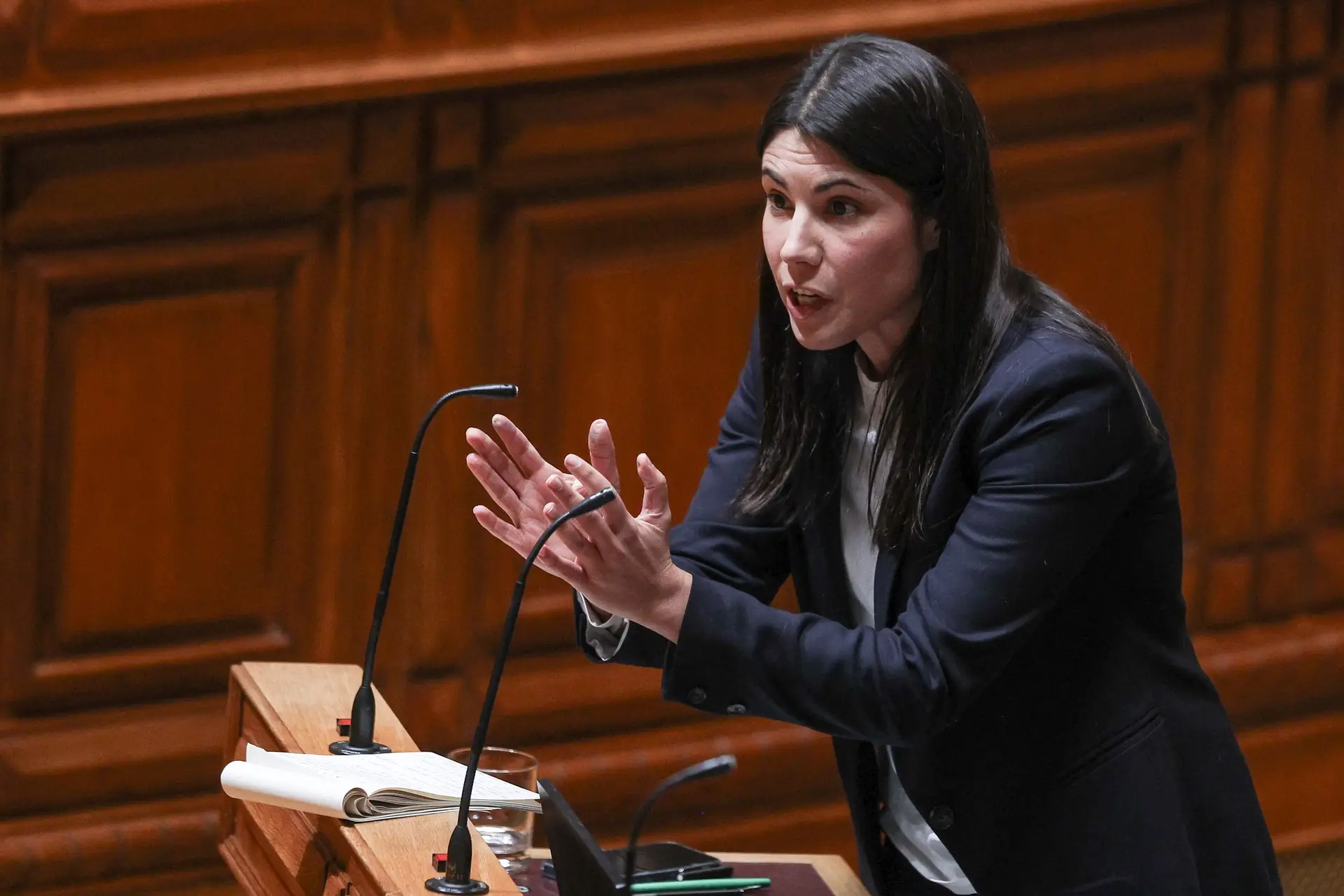 Mariana Mortágua, deputada e coordenadora do Bloco de Esquerda