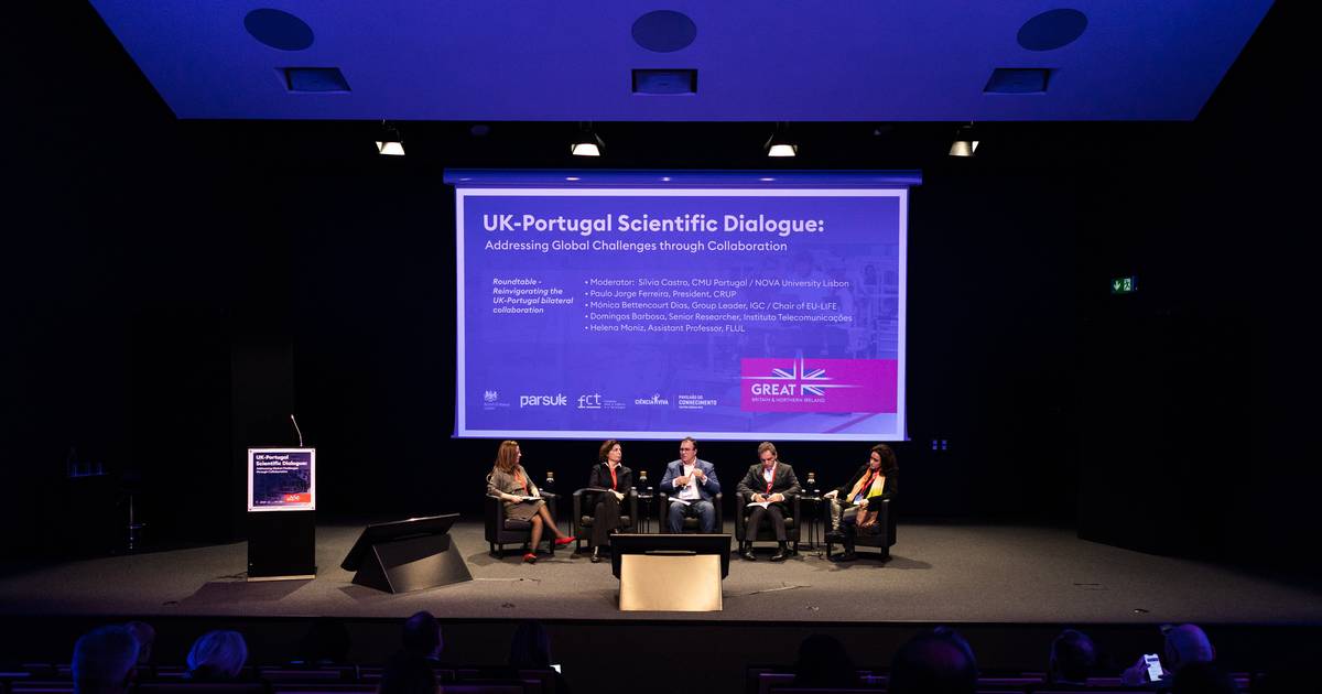 Colaboração científica entre Portugal e Reino Unido: da “incerteza” do Brexit aos desafios do financiamento e da burocracia