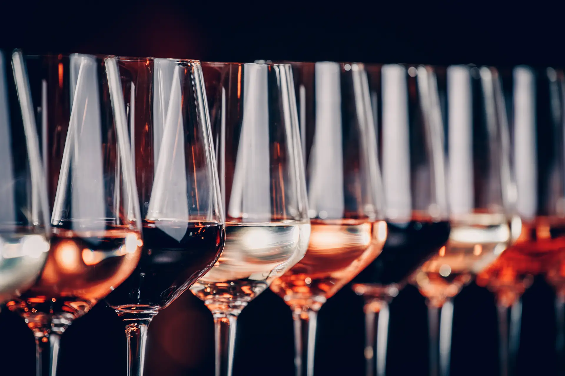 Como escolher os vinhos para este Natal?