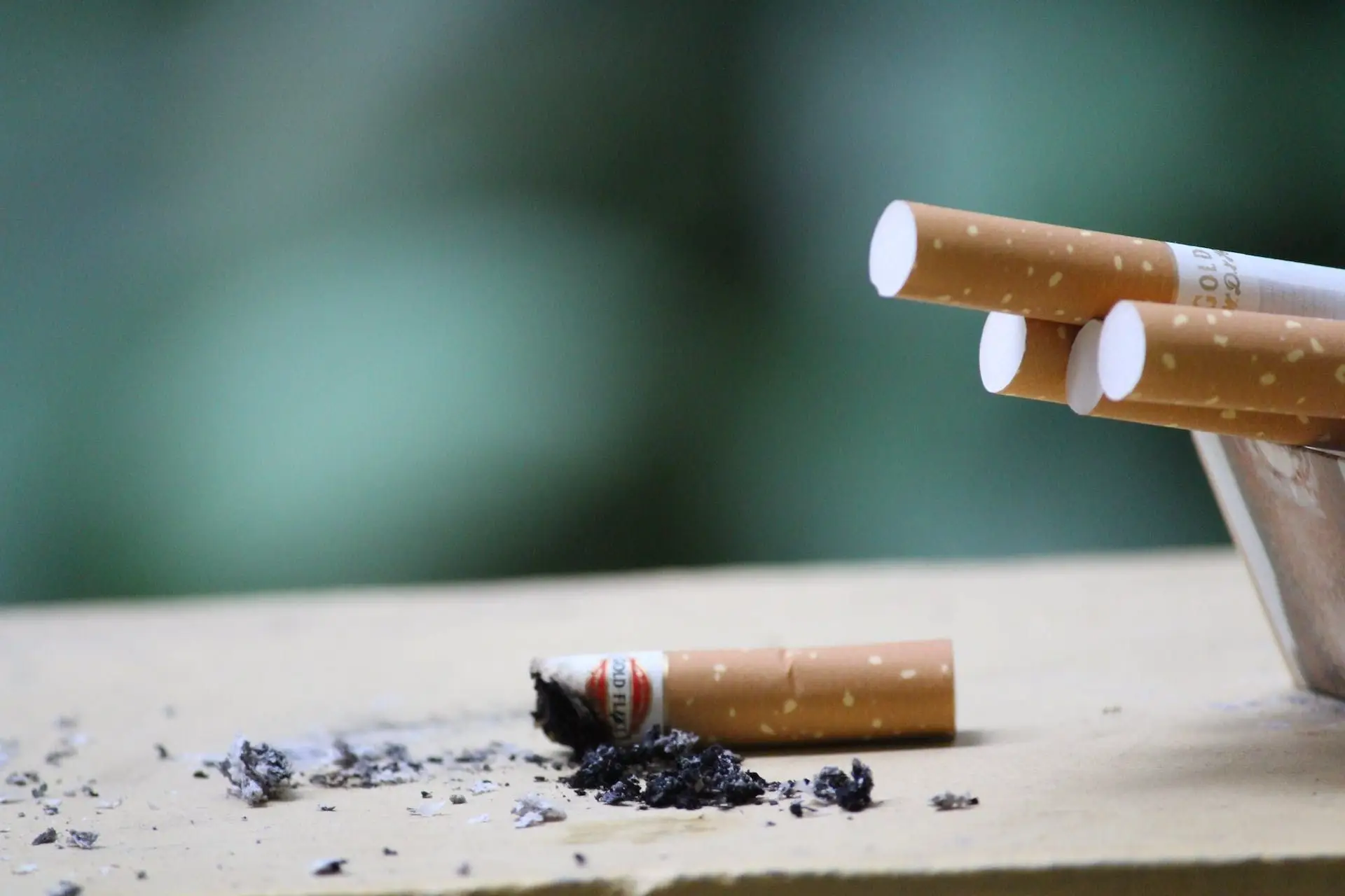Tabaco matará mais de oito milhões de pessoas por ano até 2030, alerta a OMS