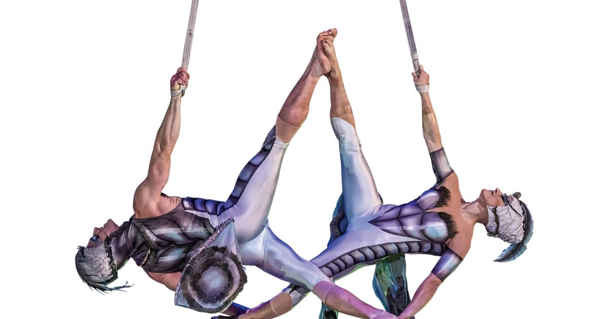 O Cirque du Soleil traz a Lisboa um mundo de insetos: “Ovo” é uma história de amor