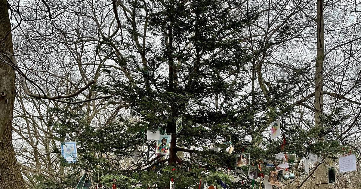 Esta árvore de Natal ‘secreta’ em Nova Iorque lembra os animais de estimação que já partiram