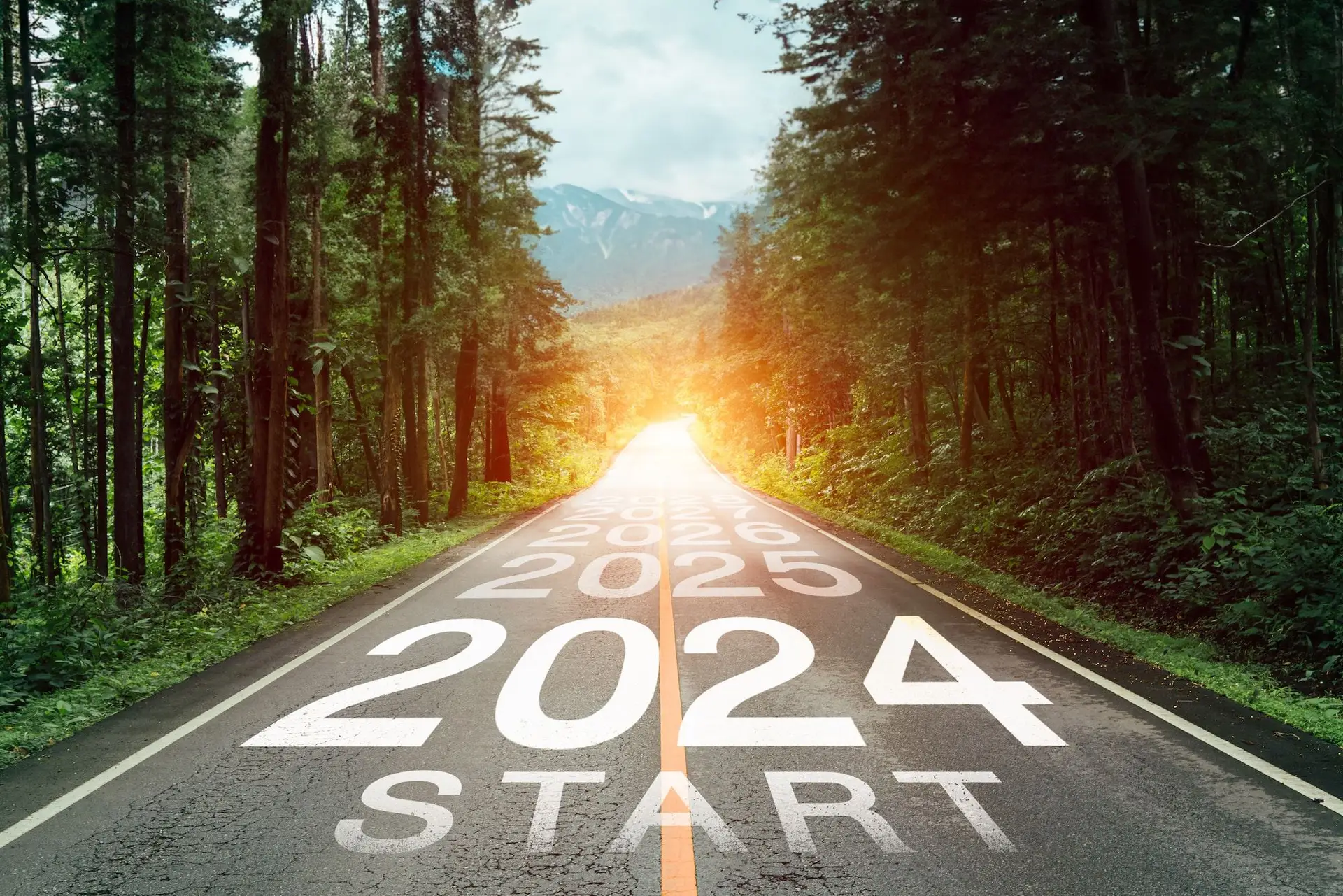 O que 2024 reserva é o resultado do caminho que a Laurel-Associação Portuguesa de Marcas de Excelência percorre desde 2020