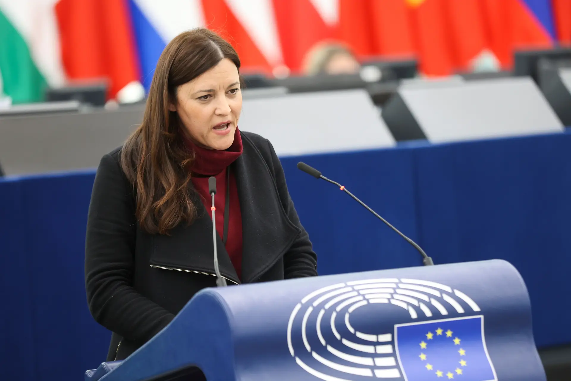 Deputados europeus pedem cessar-fogo em Gaza e intervenção da UE na solução de dois Estados
