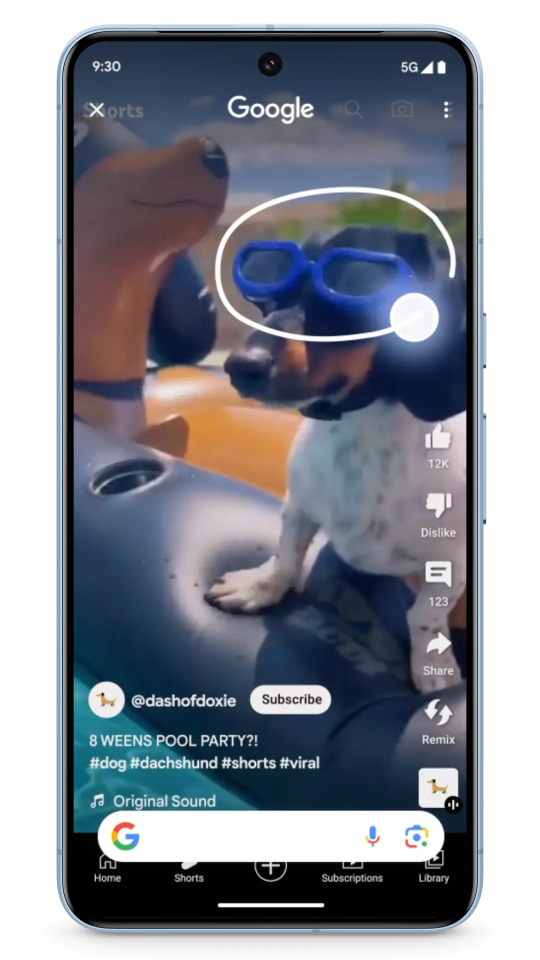 Á Google avançou com uma nova funcionalidade que permite fazer pesquisas a partir de imagens. Na imagem acima, são os óculo usados pelo cão que motivam a pesquisa