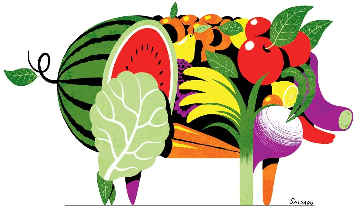 Afasta de mim essa carne: em Portugal, o vegetarianismo é mais do que uma moda. O que somos e o que comemos