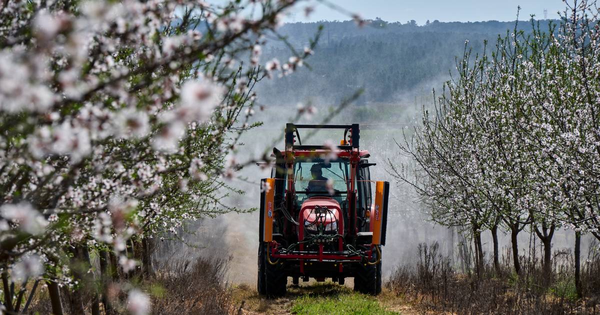 Bruxelas propõe a Portugal 7,4 mil milhões de euros para PAC e 143 milhões para pescas até 2034