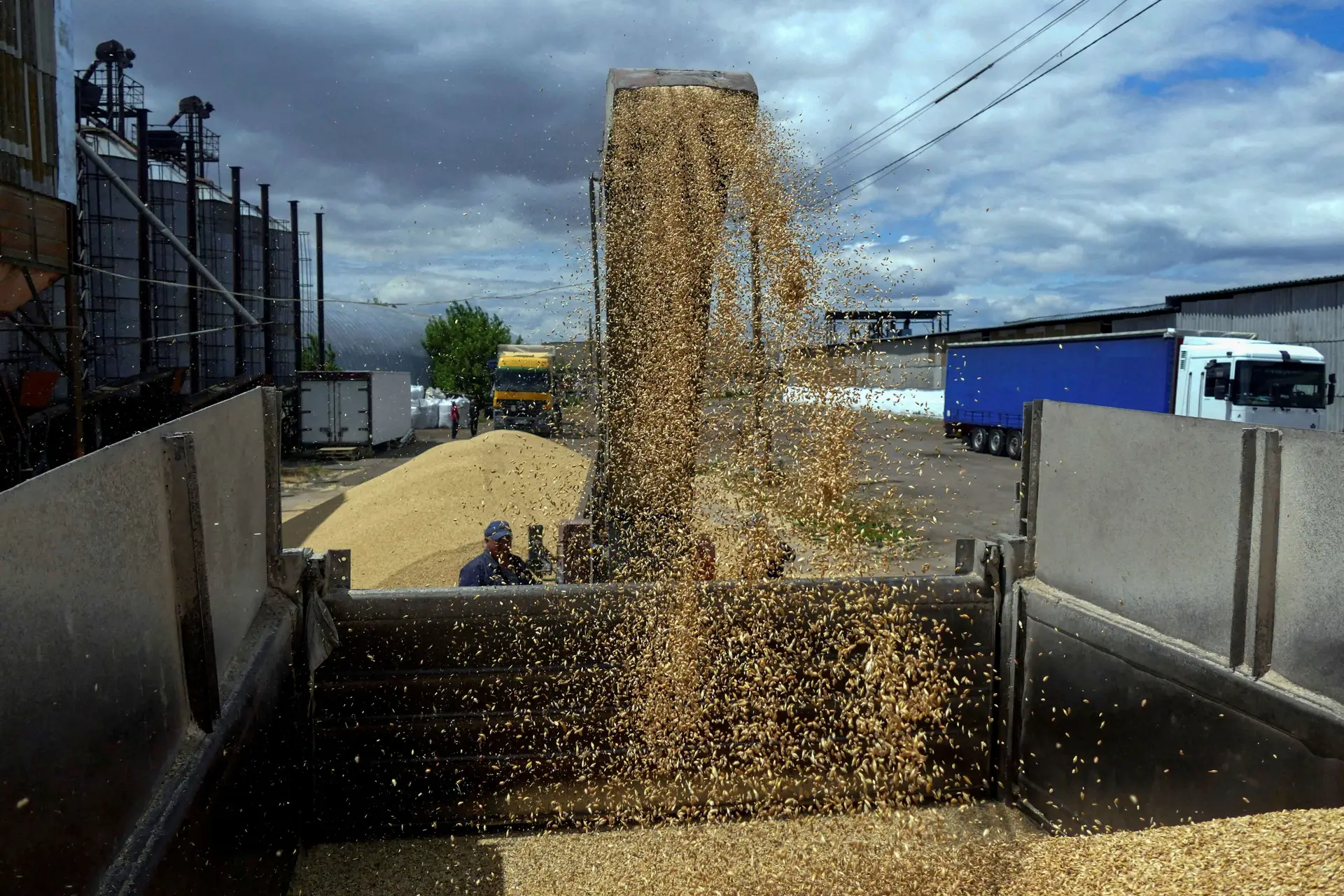 Colheita de cereais na Ucrânia vai cair 10% este ano: países em todo o mundo serão afetados