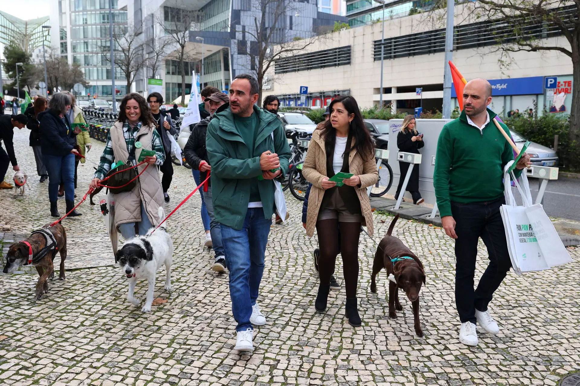 Mulheres, animais e sem-abrigo: a reta final do PAN na luta pelo grupo parlamentar