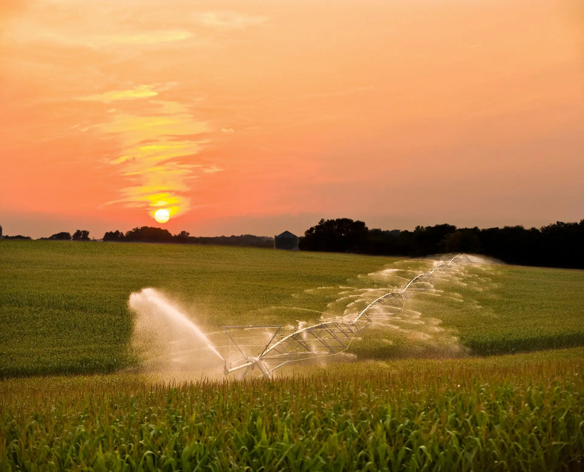 A agricultura usa 70% de toda a água consumida em Portugal e por isso é a que mais sofre com os prolongados períodos de seca