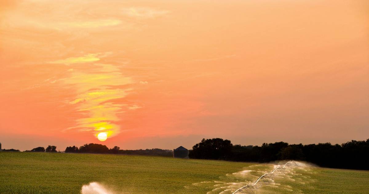 Bruxelles avvisa gli Stati membri dell'impatto di un'estate secca e calda sull'agricoltura