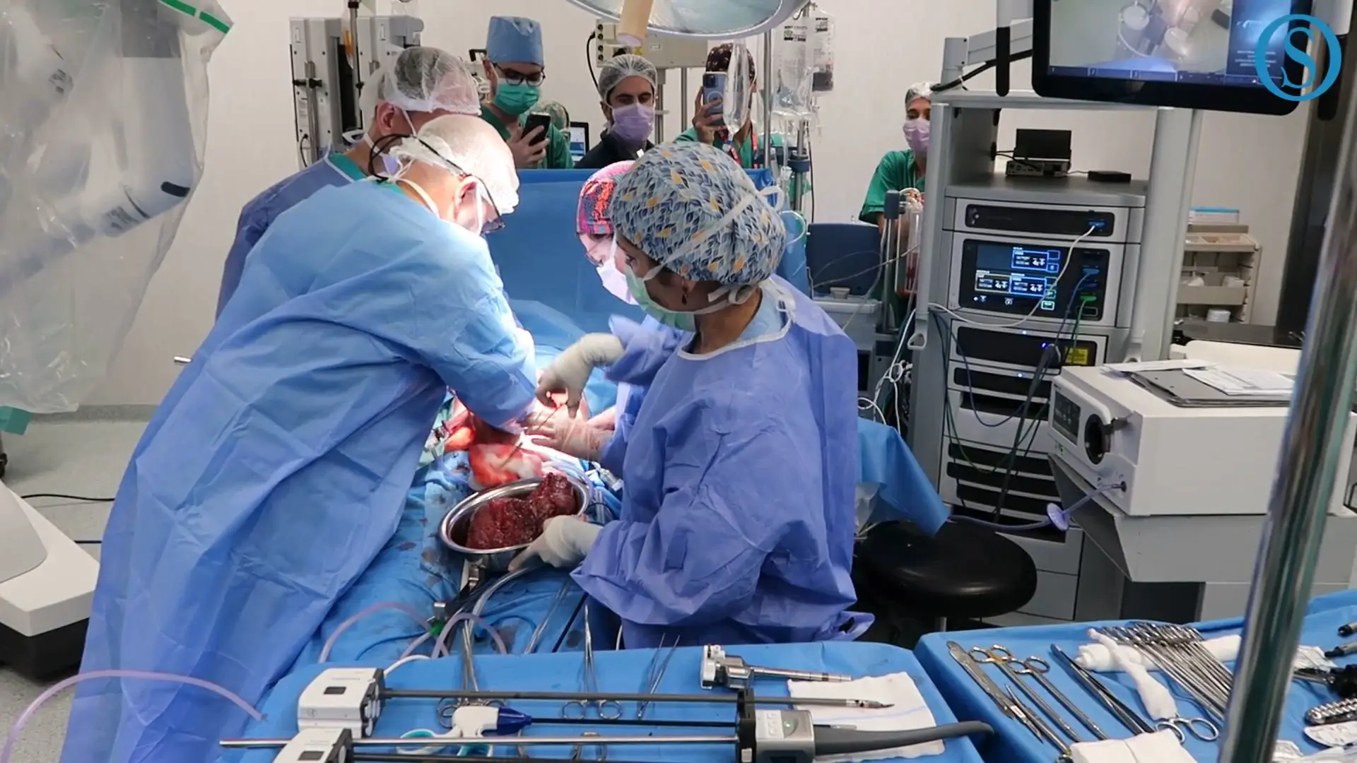Transplante de órgãos em Portugal com “resultados notáveis”