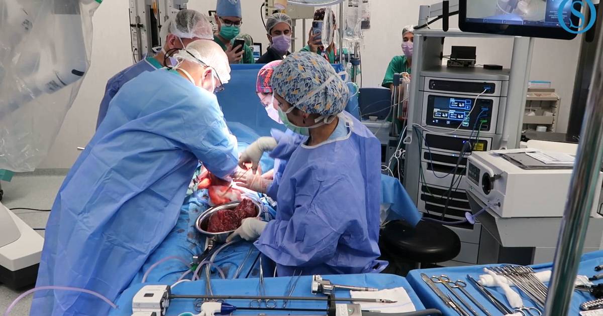 Transplante de órgãos em Portugal com “resultados notáveis” 