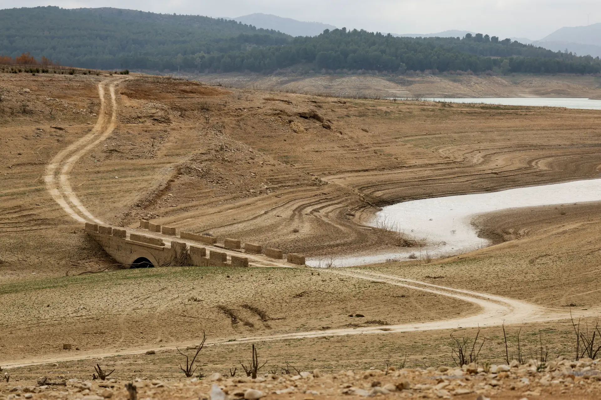 La Agencia Europea de Medio Ambiente afirma que el calor está en niveles críticos en Portugal y el sur de Europa