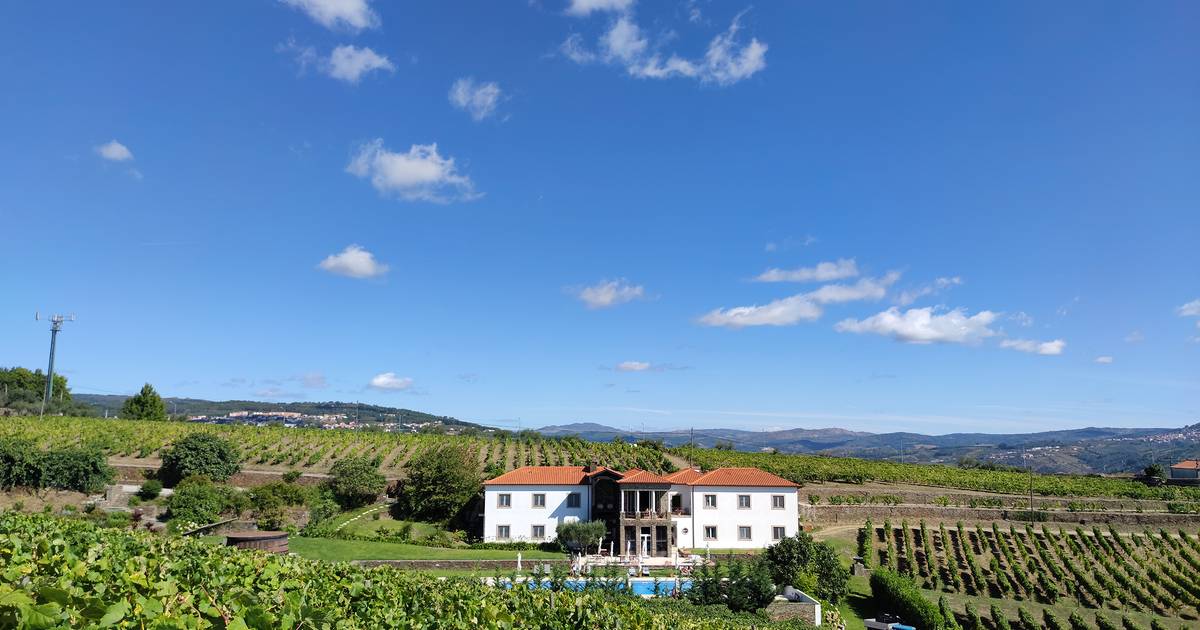 Fladgate compra Quinta do Portal e expande oferta aos vinhos tranquilos do Douro