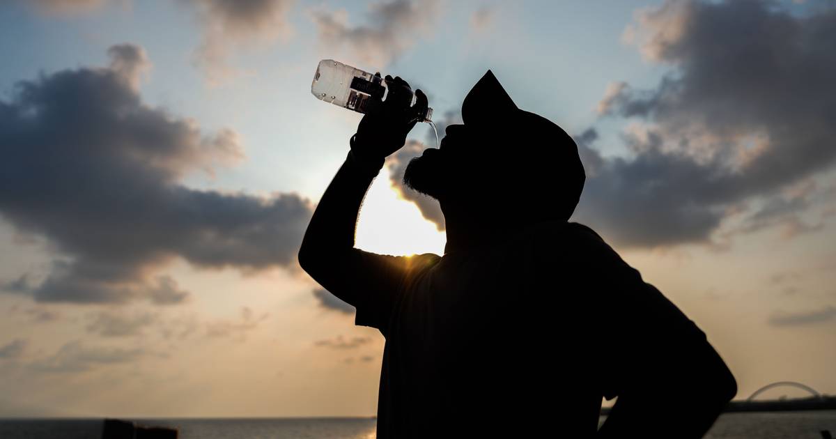 Há 13 distritos de Portugal continental em alerta vermelho devido ao calor