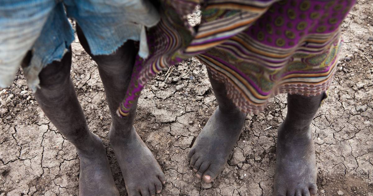 Seca: Malaui pede 600 mil toneladas de milho para combater o risco de fome e declara estado de catástrofe