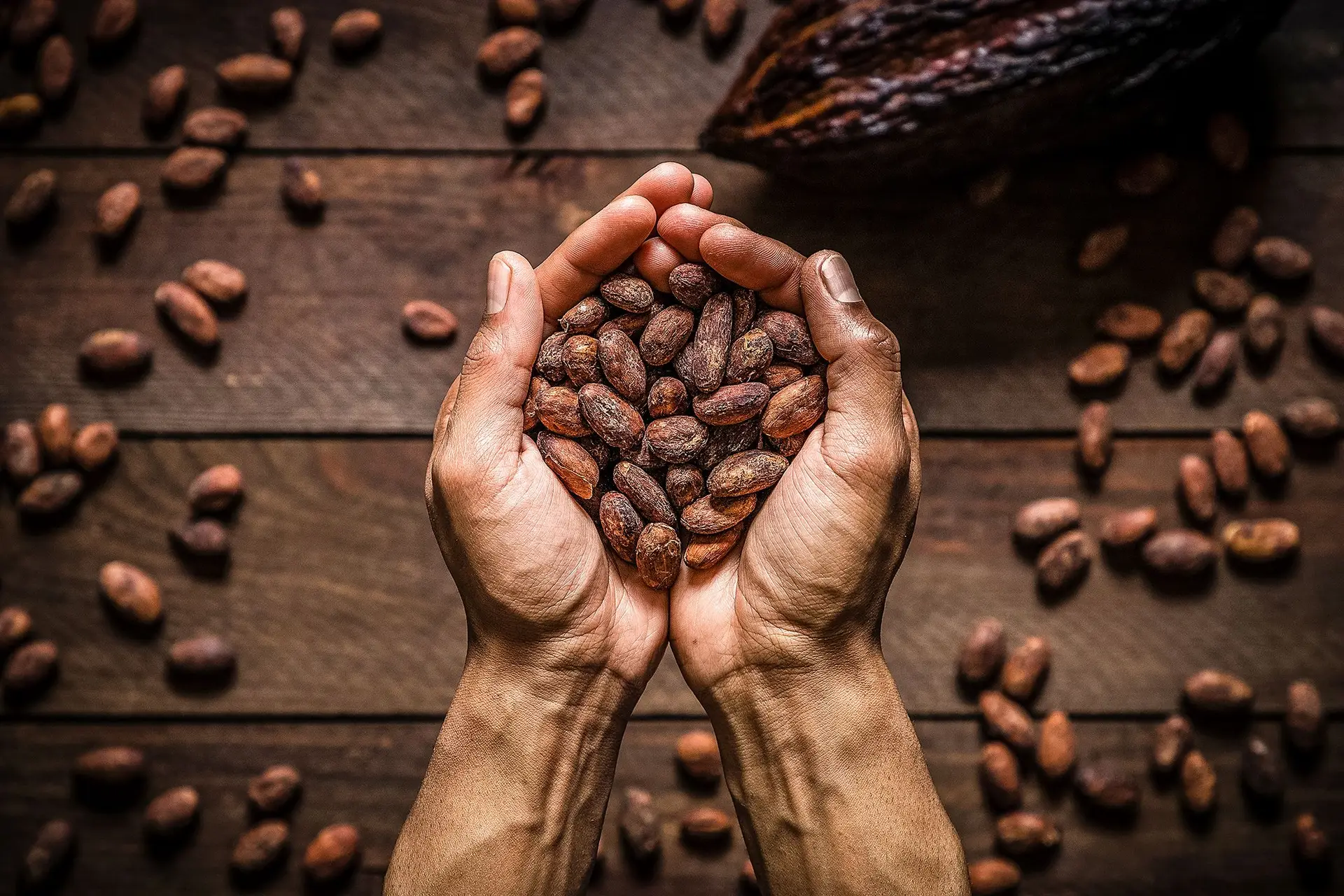 O ‘ouro castanho’ tem como principais produtores a Costa do Marfim e o Gana, em África, e o Equador, na América Latina, onde já se usa há mais de 5300 anos