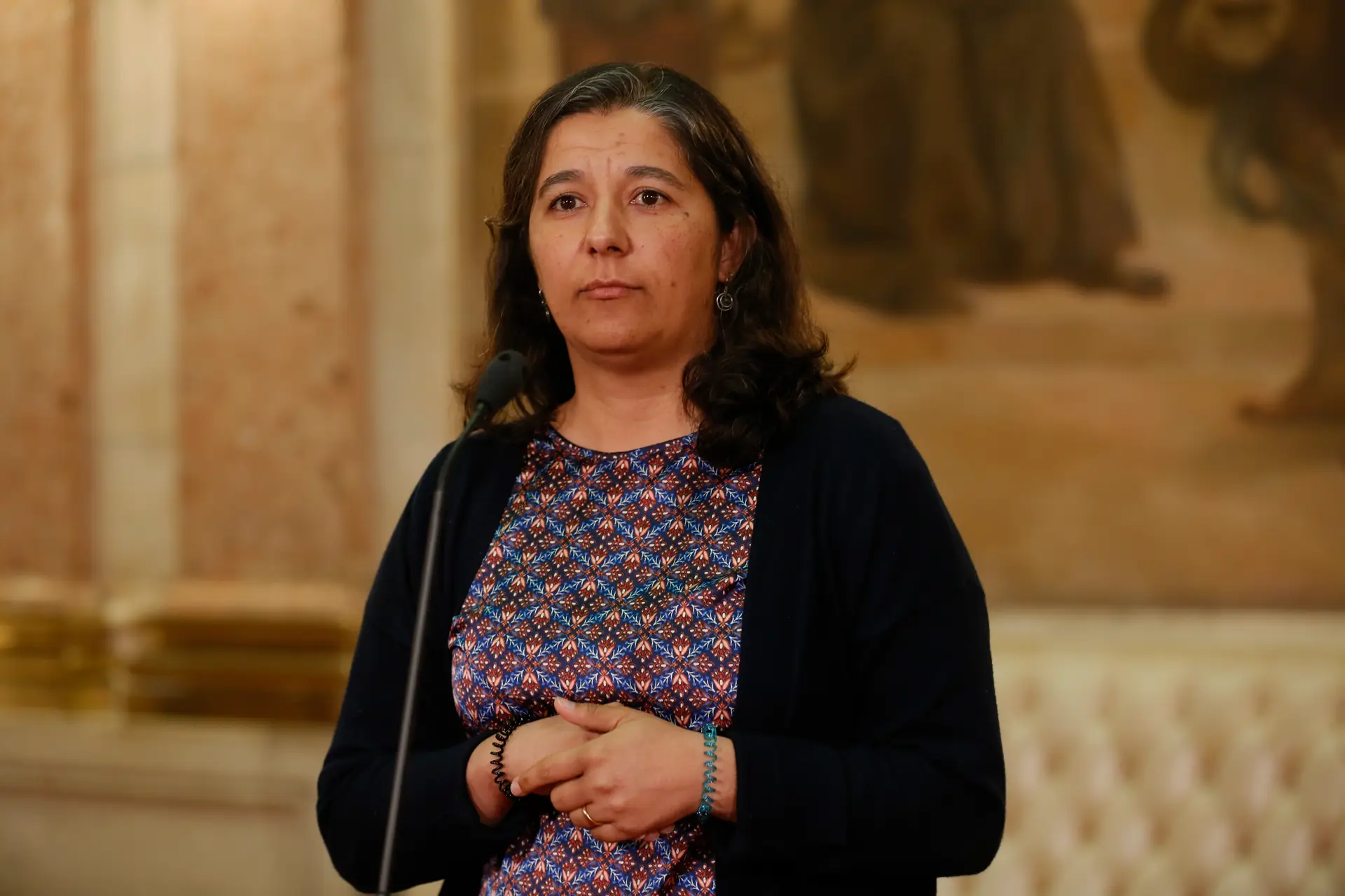 Paula santos do PCP fala a comunicação Social.