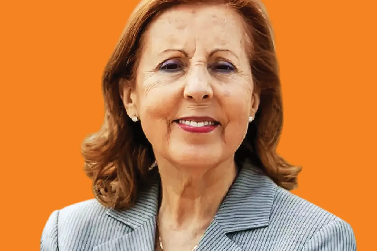 Maria da Graça Carvalho, a nova ministra do Ambiente e da Energia: engenheira mecânica, ex-governante de Barroso e eurodeputada