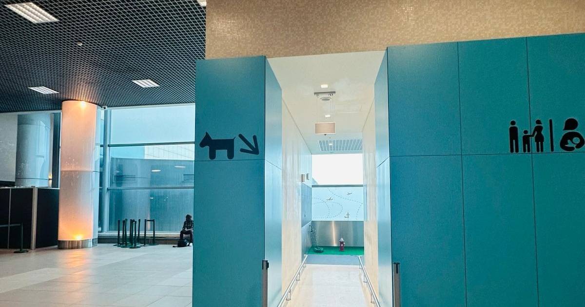 Aeroporto de Lisboa já tem WC para cães