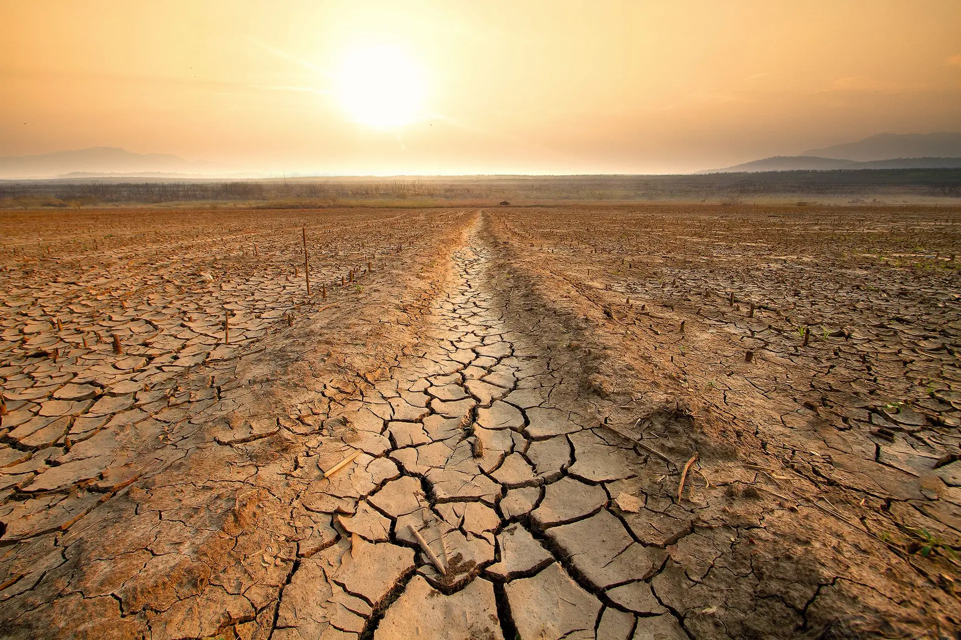 O desafio está em produzir mais com menos, para mais pessoas e debaixo de severas alterações climáticas
