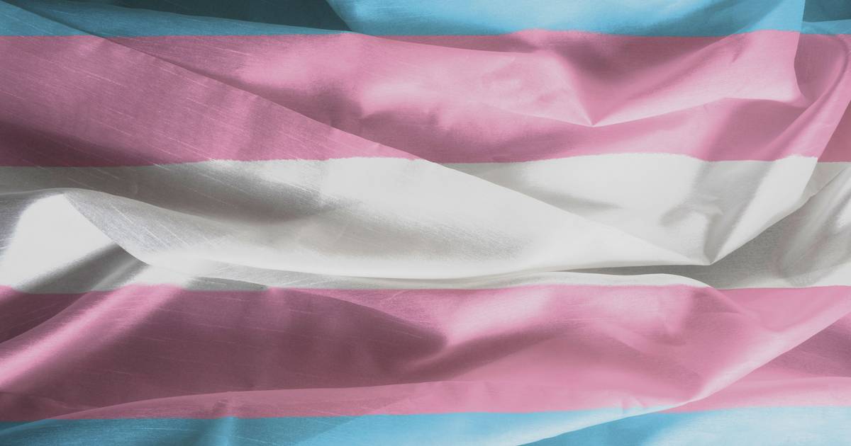 It is a step backwards in terms of human rights: associations react to the approval of bills that prevent trans minors from changing gender
