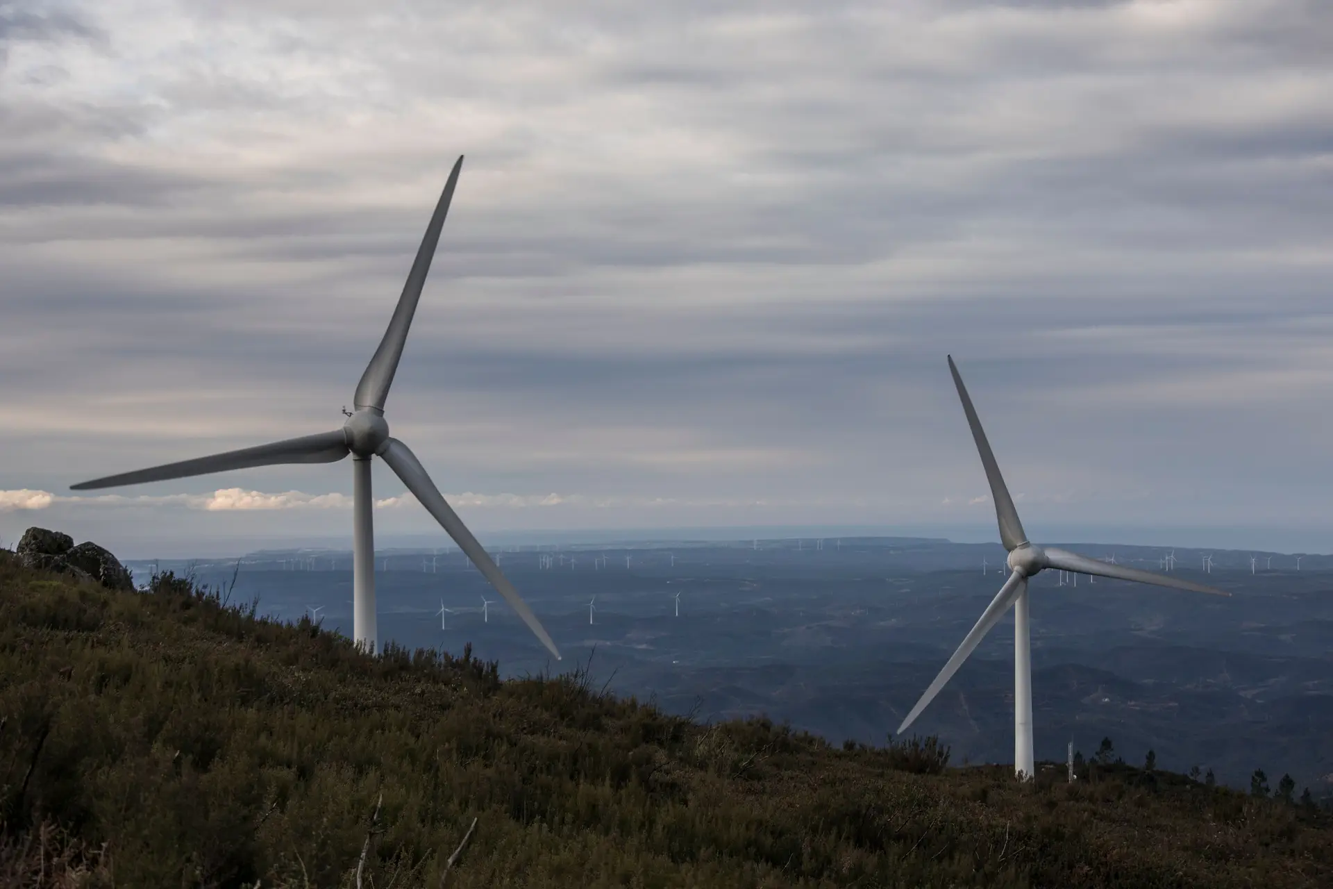 Trimestre histórico nas renováveis baixou preços da eletricidade no mercado ibérico