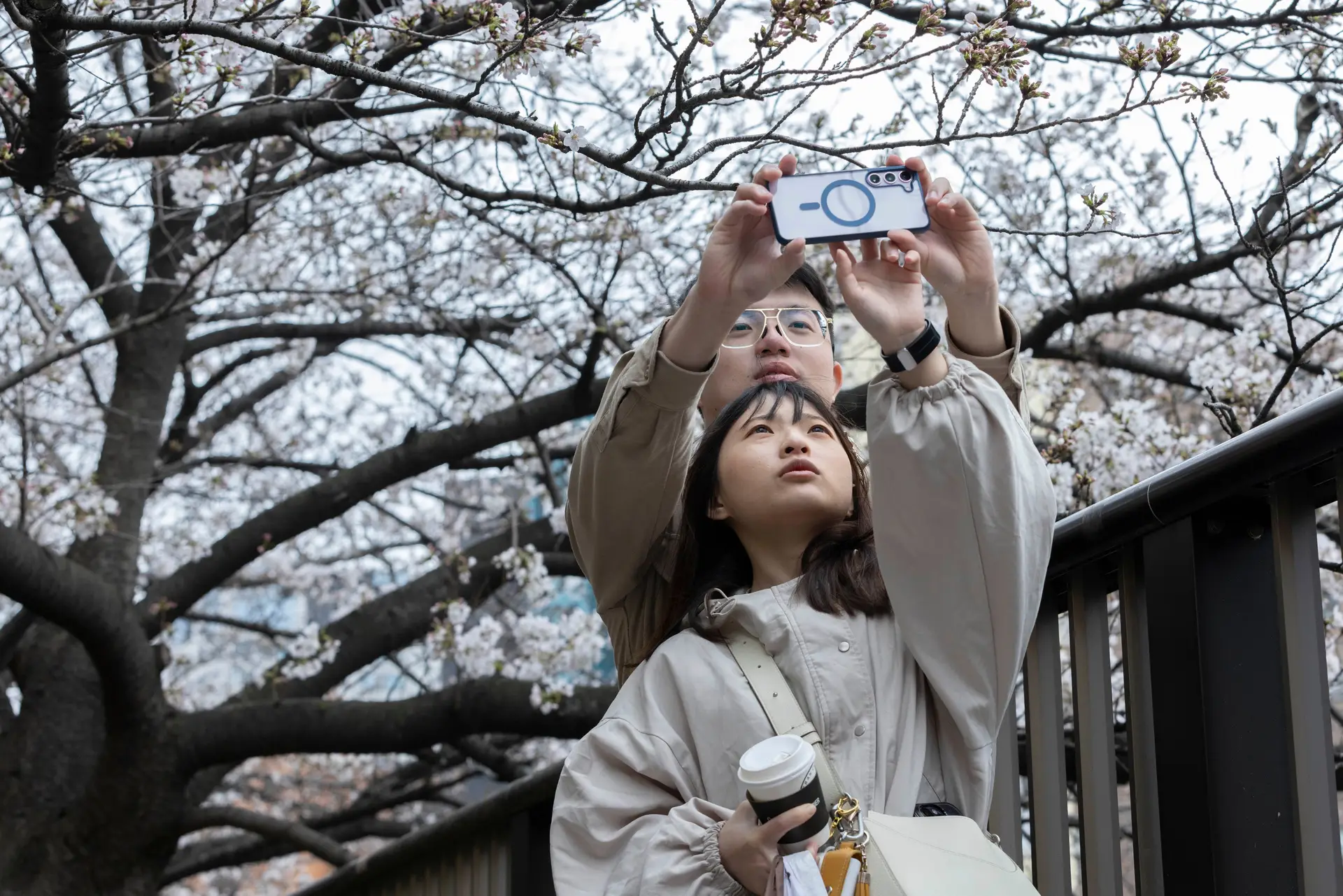 Casal japonês tira uma fotografia junto às cerejeiras em flor, em Tóquio, no Japão