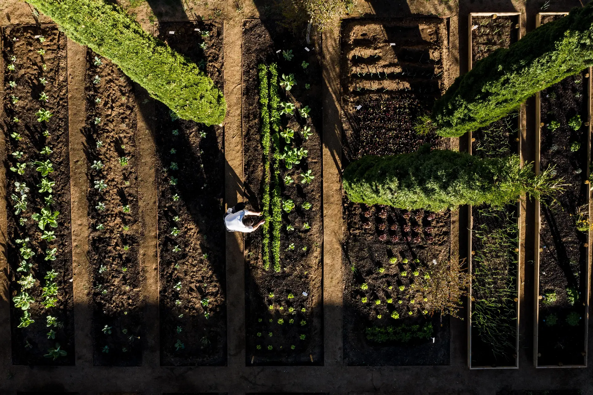 À descoberta dos hotéis e restaurantes distinguidos com o prémio Sustentabilidade 2024