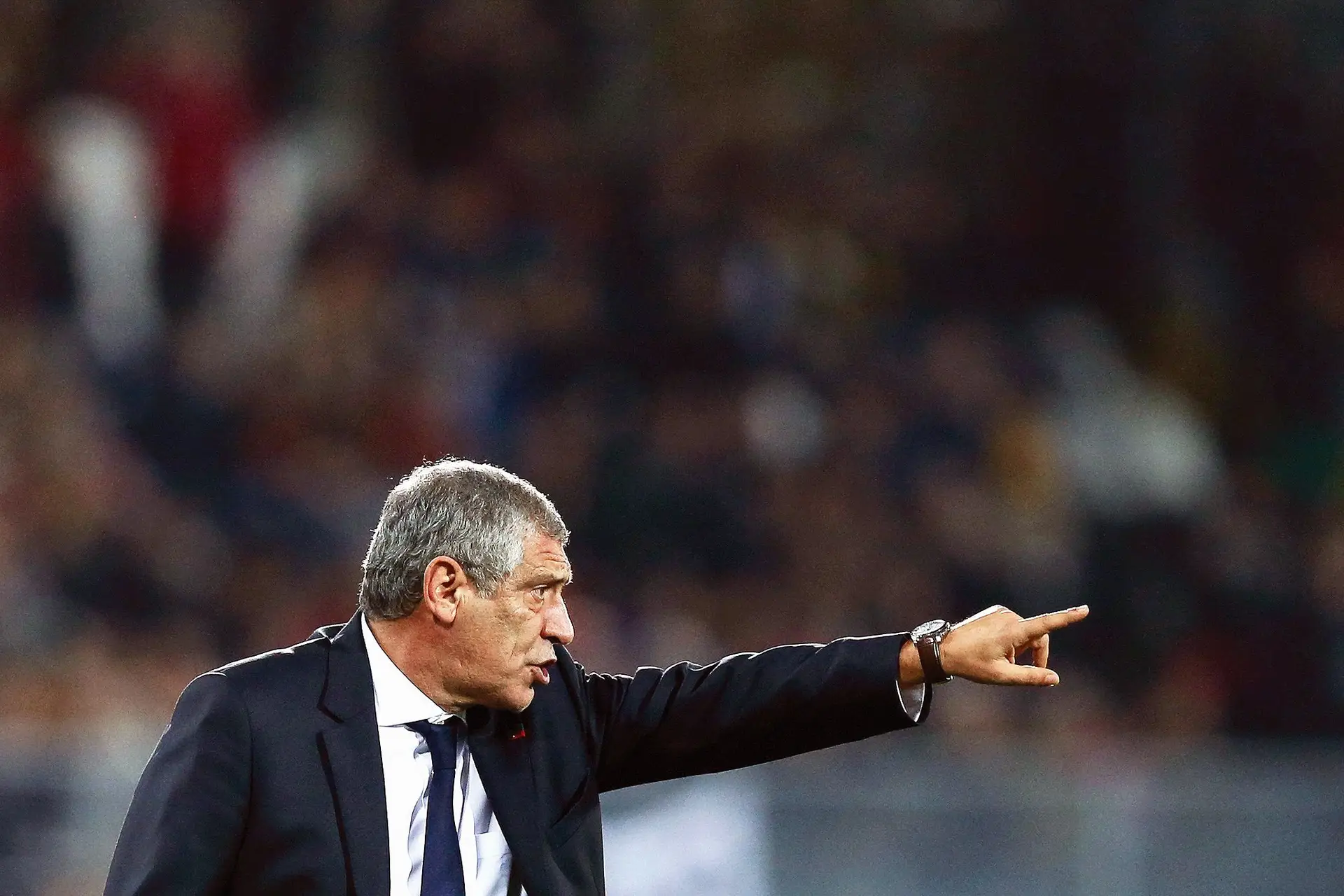Fernando Santos passa a ser representado nas questões fiscais por Eloisa Ribeiro Santos