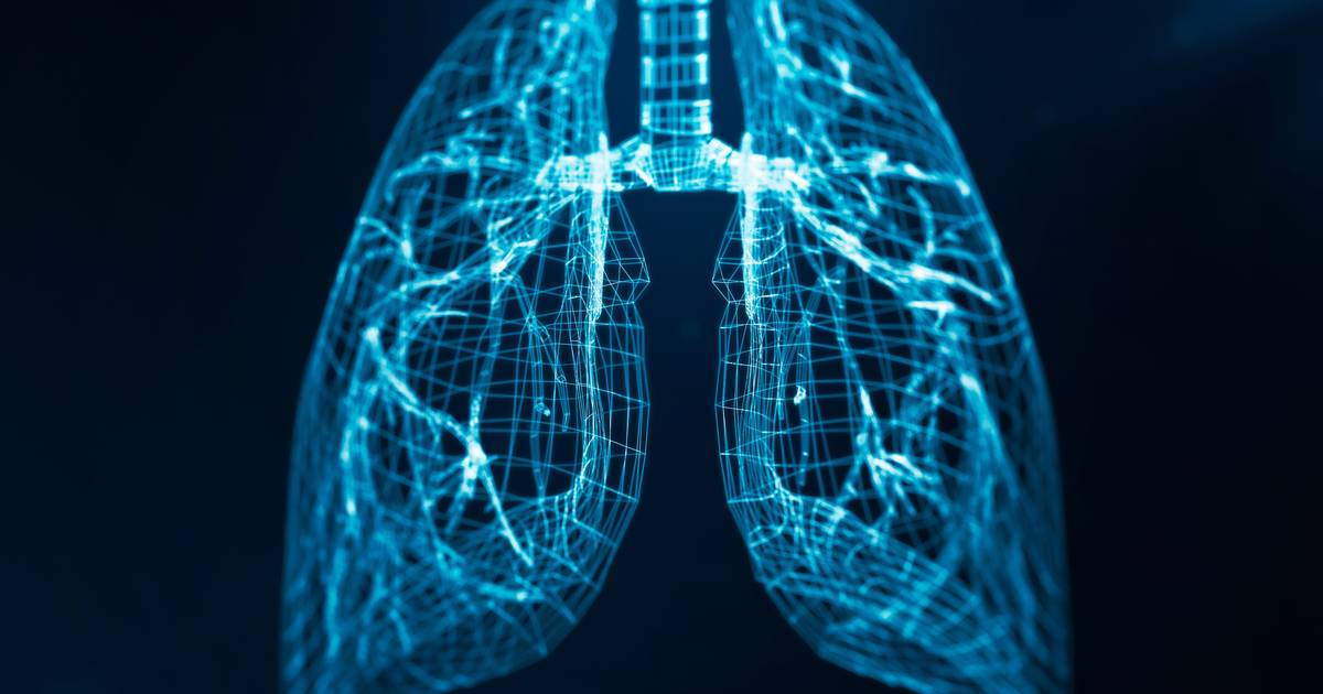 Hospitais de São João e Santa Maria têm nova tecnologia para detetar cancro do pulmão mais precocemente